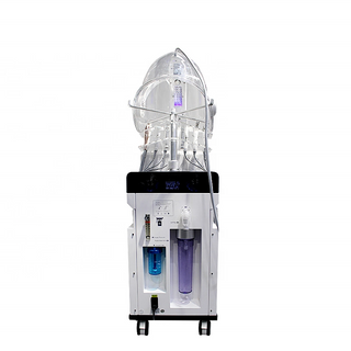 11 in 1 Multifunctional Facial Machine